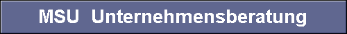  MSU  Unternehmensberatung 